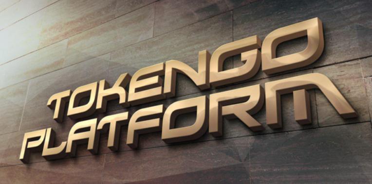 TokenGo Business Tokenization Platformu 