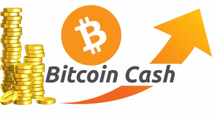Bitcoin Cash'in Bitcoin'i geçme şansı var mı?