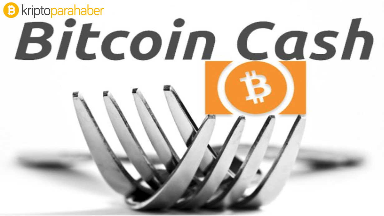 bitcoin cash hard forku
