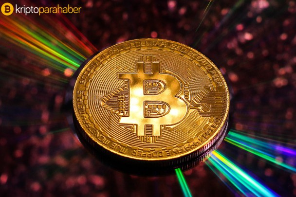 Xapo Başkanı: “Bitcoin geleneksel altının yerine geçecek.”