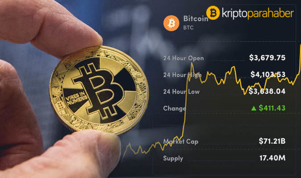 “Ayı piyasası derinleştikçe, Bitcoin fiyatı serbest düşüyor.”
