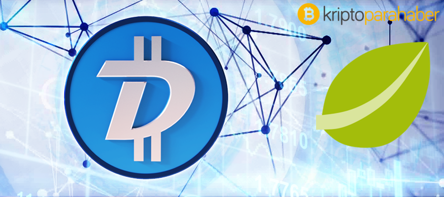 SegWit işlem grafiği