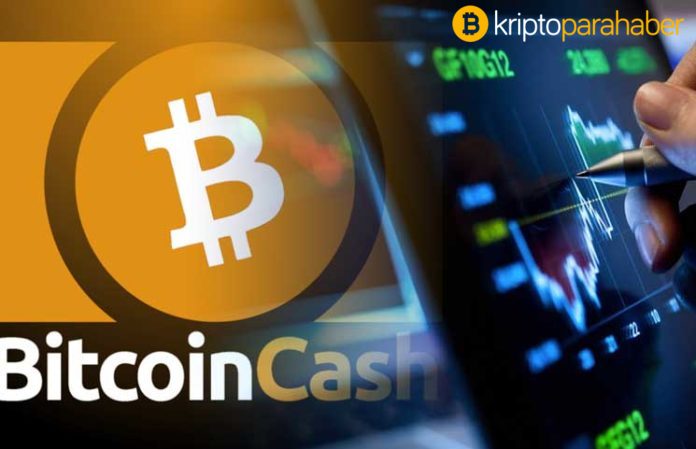 Bitcoin Cash fork
