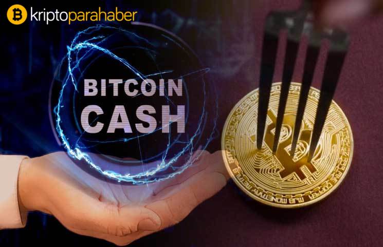 Bitcoin Cash (BCH) fiyatı, ağır vuruyor