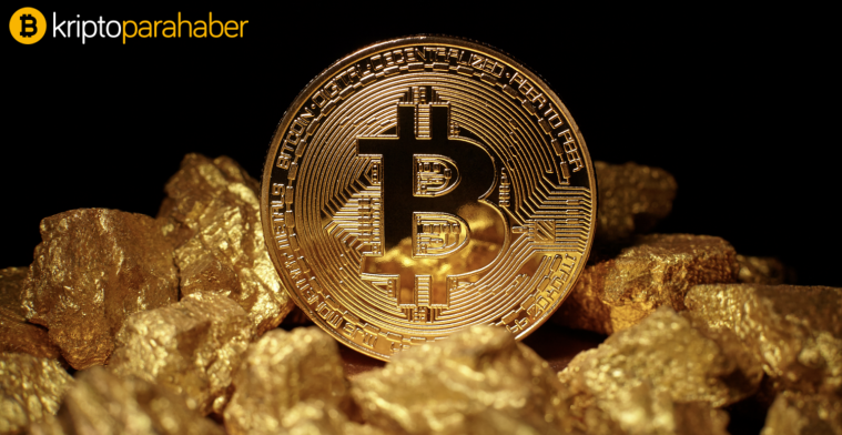 Alex Gurevich: “Bitcoin avantajlarını ve popülaritesini arttırıyor.”